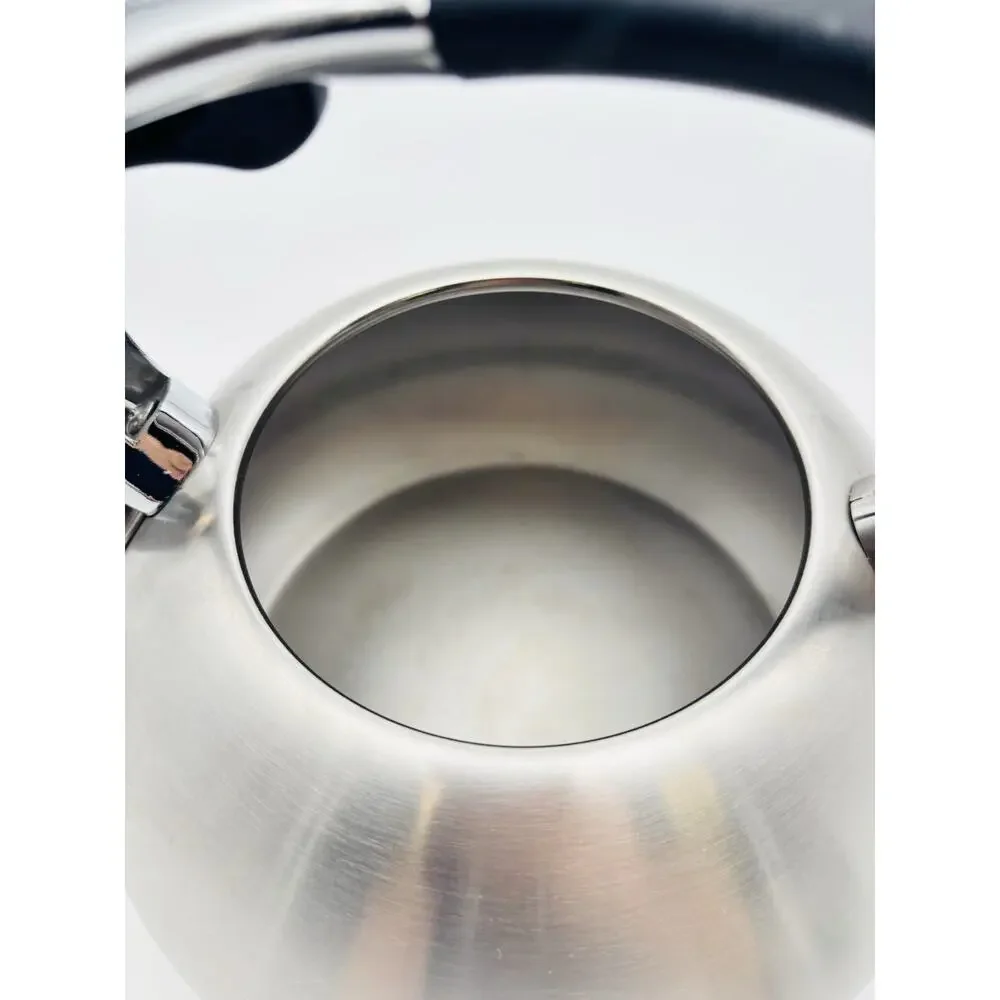Brandani Stainless Steel Tea Kettle Brushed Silver Black Faux Soft Touch Handle
